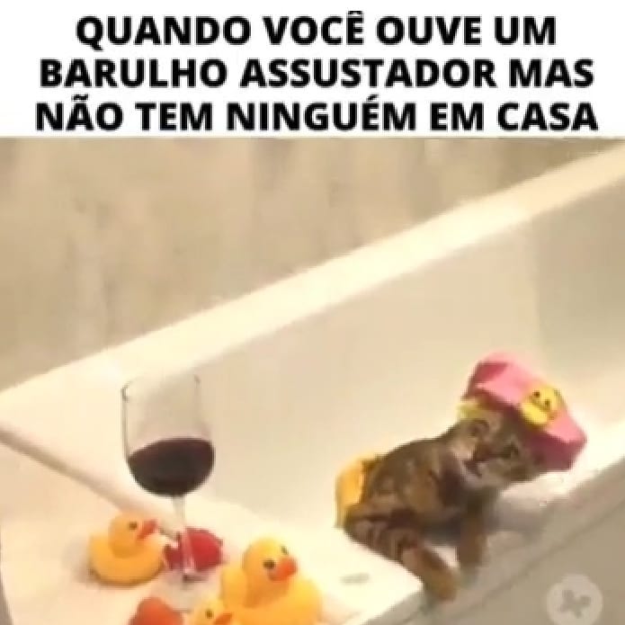 Quando você ouve um barulho assustador mas não tem ninguém em casa.