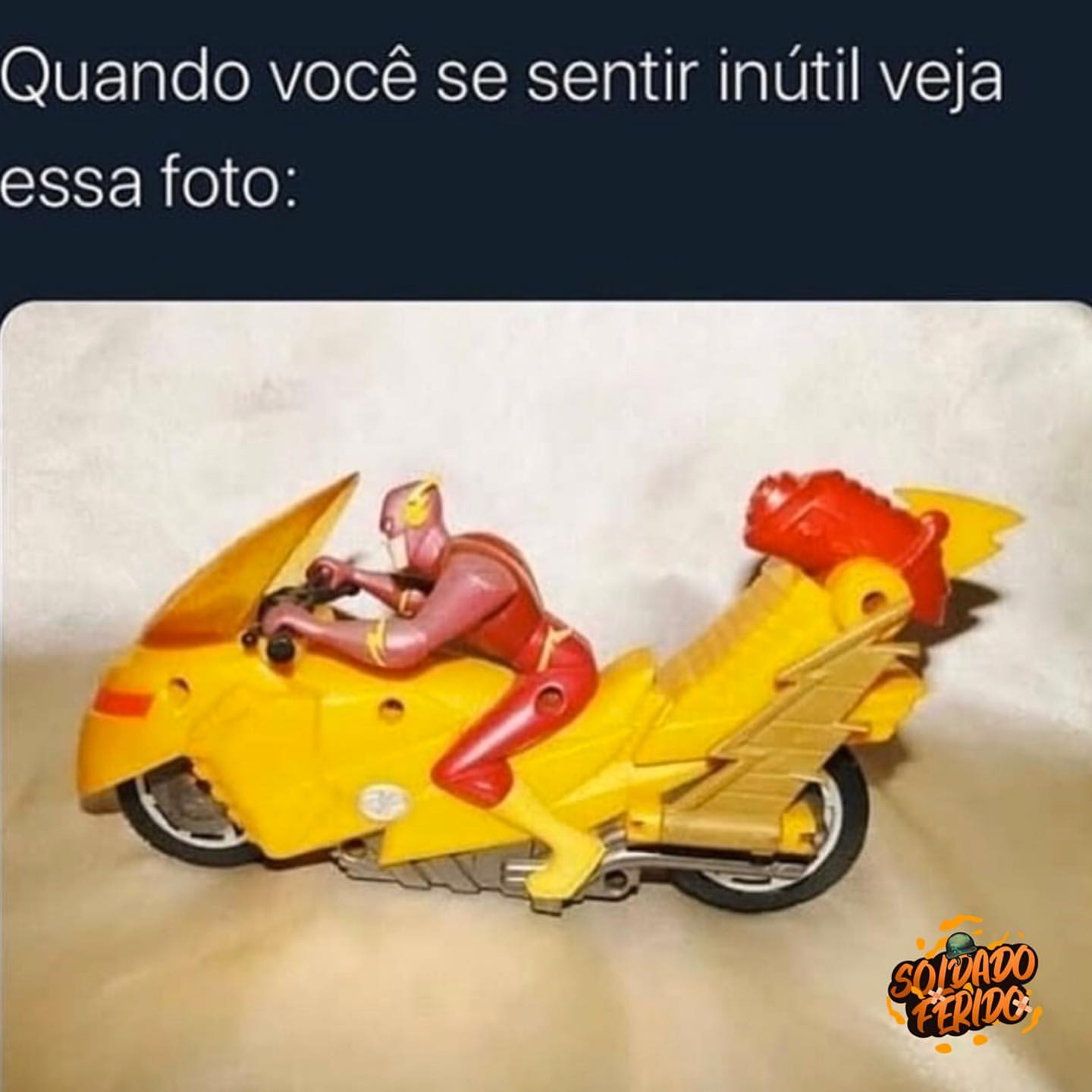 Quando você se sentir inútil veja essa foto: