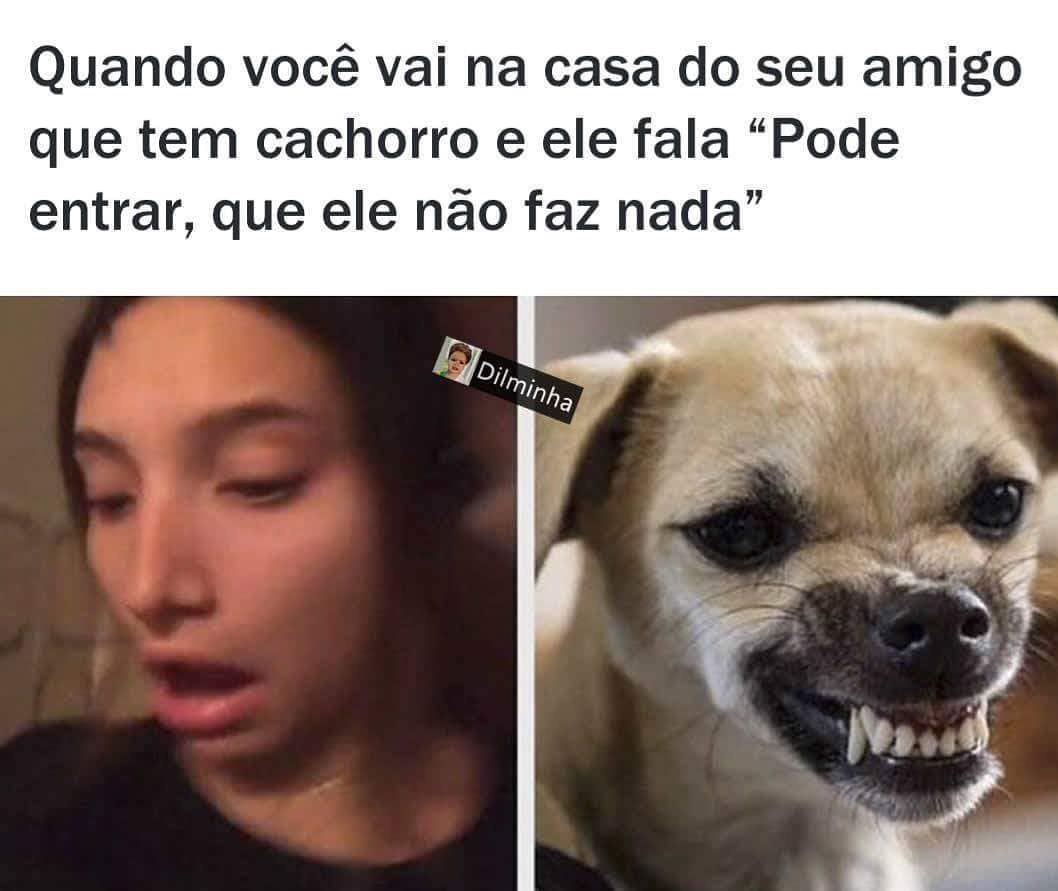 Quando você vai na casa do seu amigo que tem cachorro e ele fala "Pode entrar, que ele não faz nada".