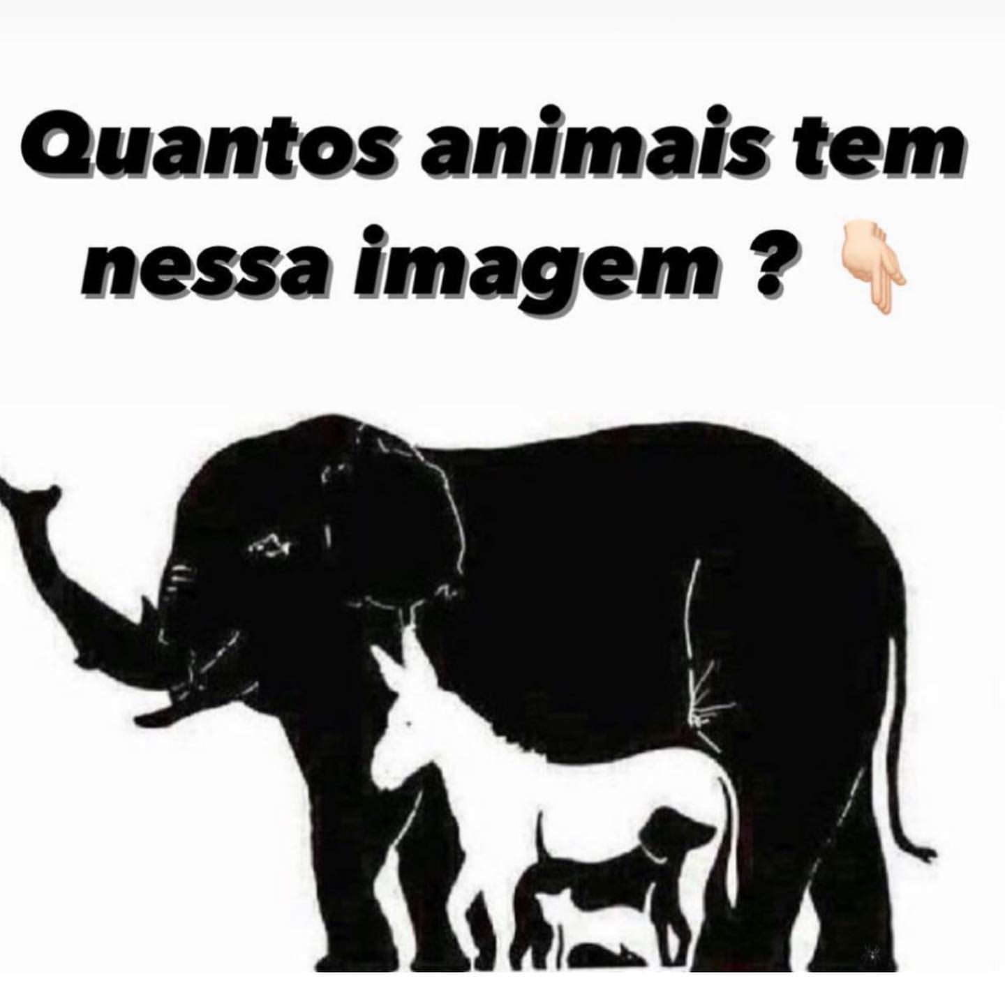 Quantos animais tem nessa imagem?