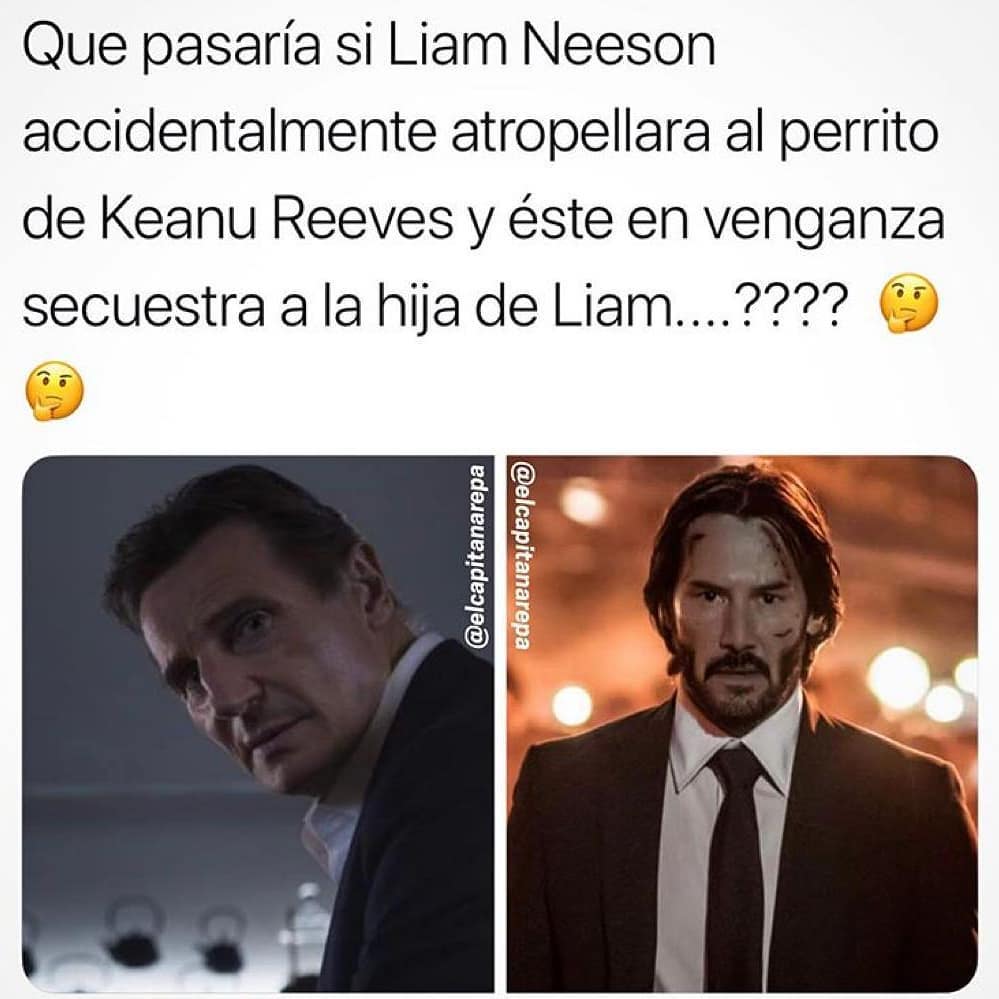 Qué pasaría si Liam Neeson accidentalmente atropellara al perrito de Keanu Reeves y éste en venganza secuestra a la hija de Liam...?