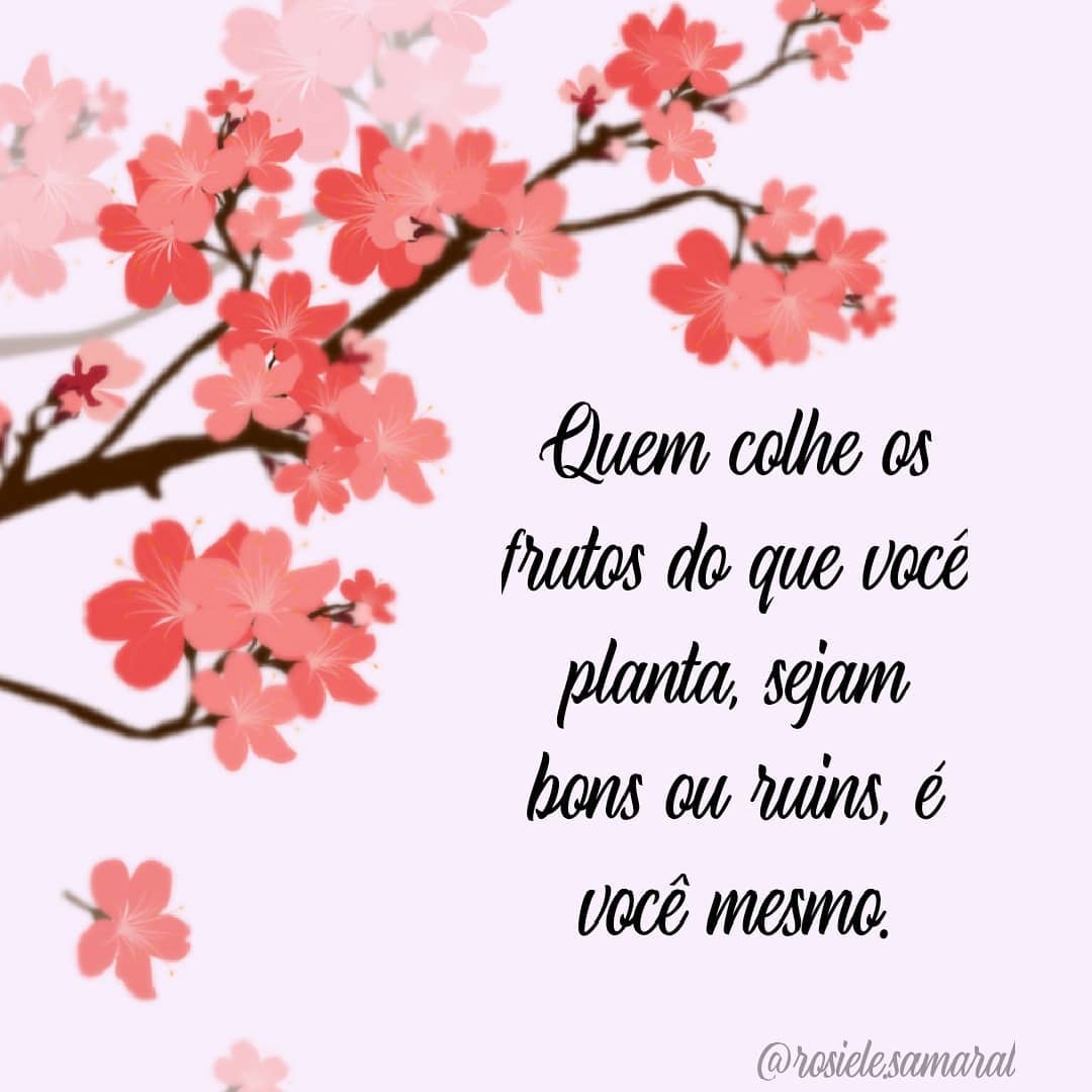 Quem colhe os frutos do que você planta, sejam bons ou ruins, é você mesmo.