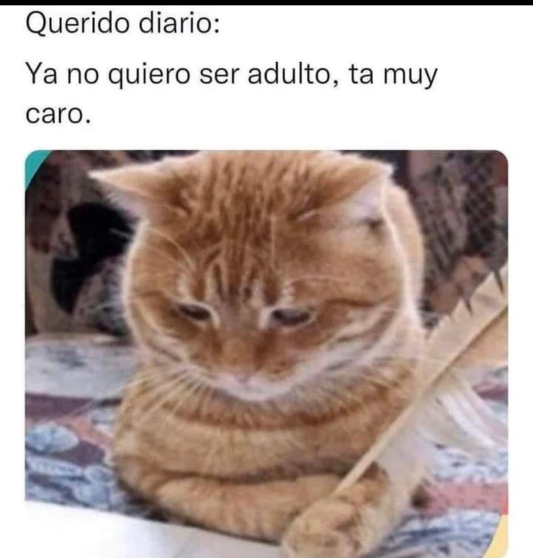 Querido diario: Ya no quiero ser adulto, ta muy caro.