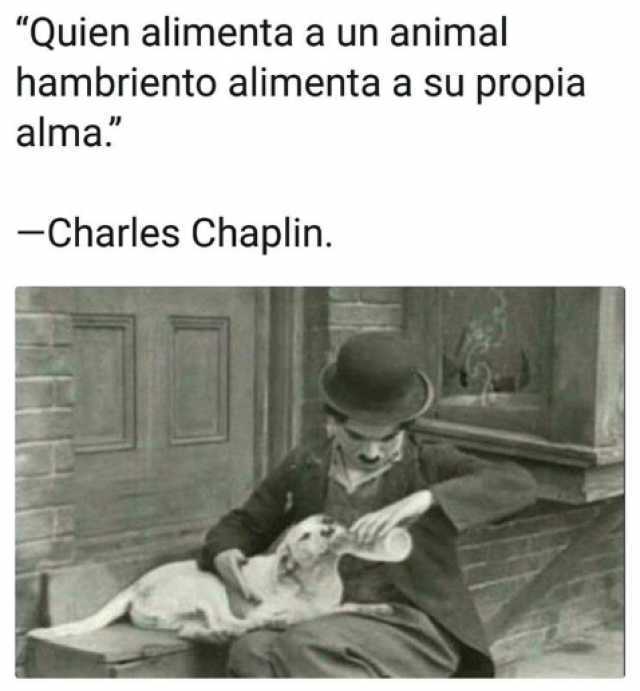 "Quien alimenta a un animal hambriento alimenta a su propia alma."  Charles Chaplin.
