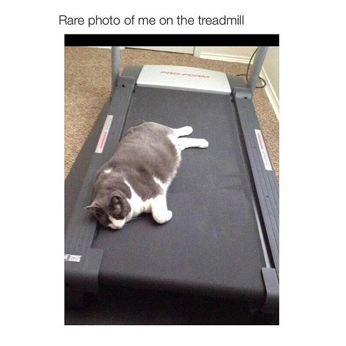 Rare photo of me on the treadmill.