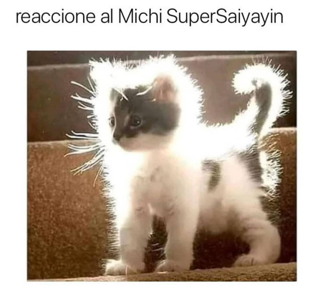 Reaccione al Michi SuperSaiyayin.