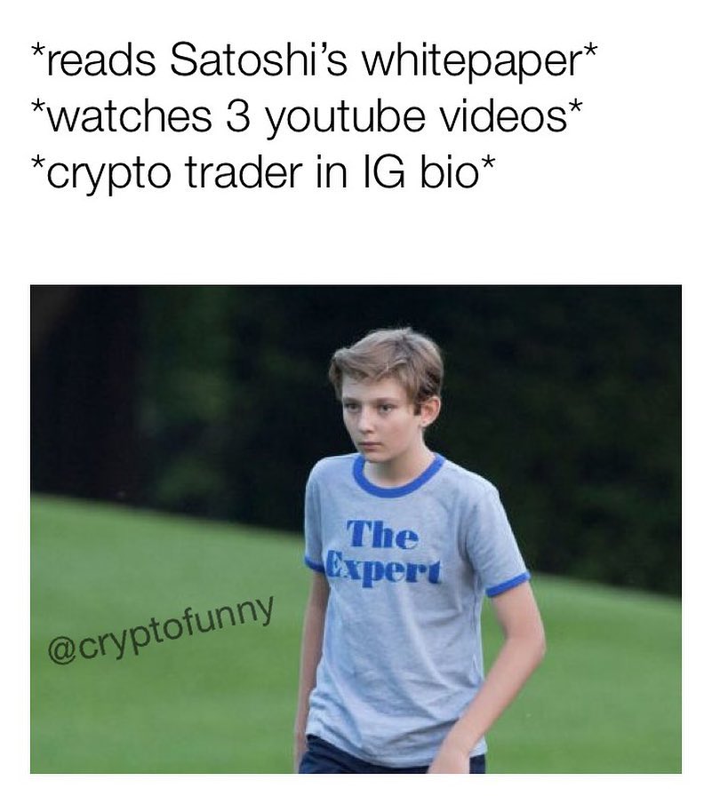 *Reads Satoshi's whitepaper* *Watches 3 youtube videos* *Crypto trader in IG bio* The expert.