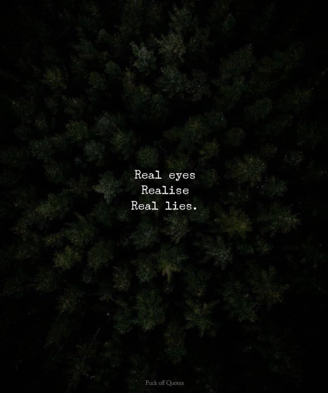 Real eyes realise real lies. - Phrases
