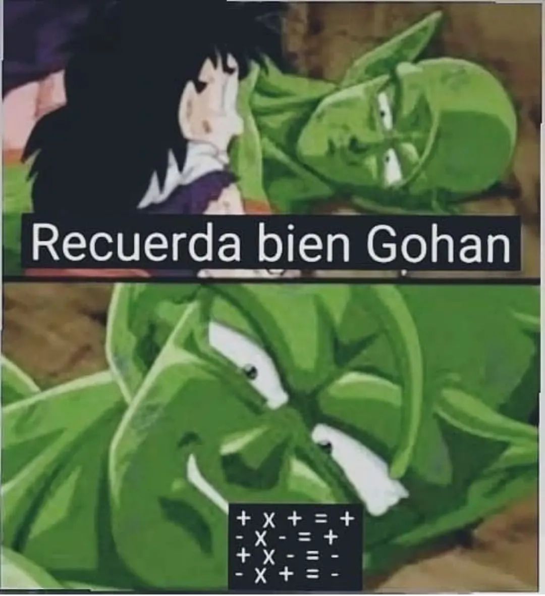 Recuerda bien Gohan.