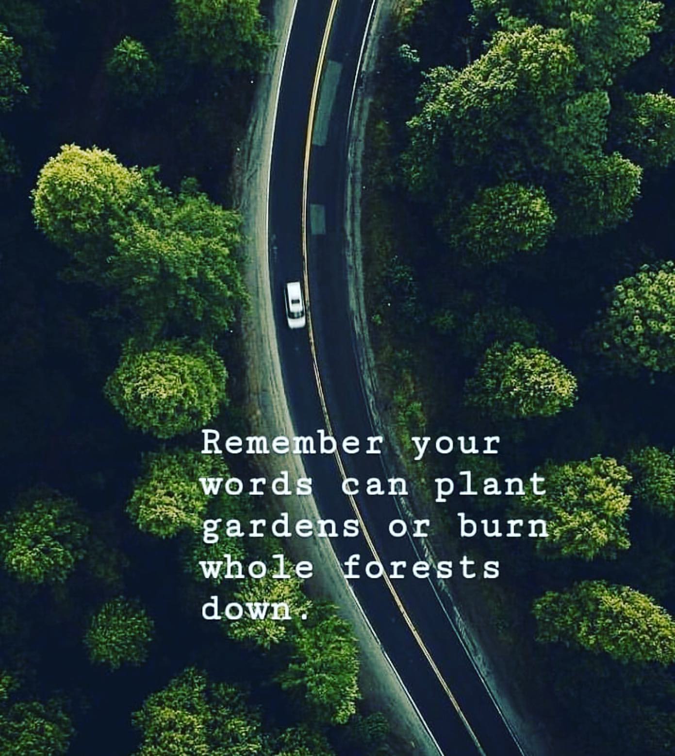 Remember your words can plant gardens or burn whole forests down.