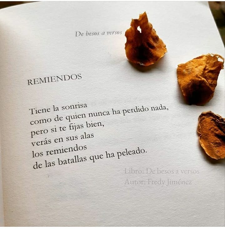 Remiendos. Tiene la sonrisa como de quien nunca ha perdido nada, pero si te fijas bien, verás en sus alas los remiendos de las batallas que ha peleado.