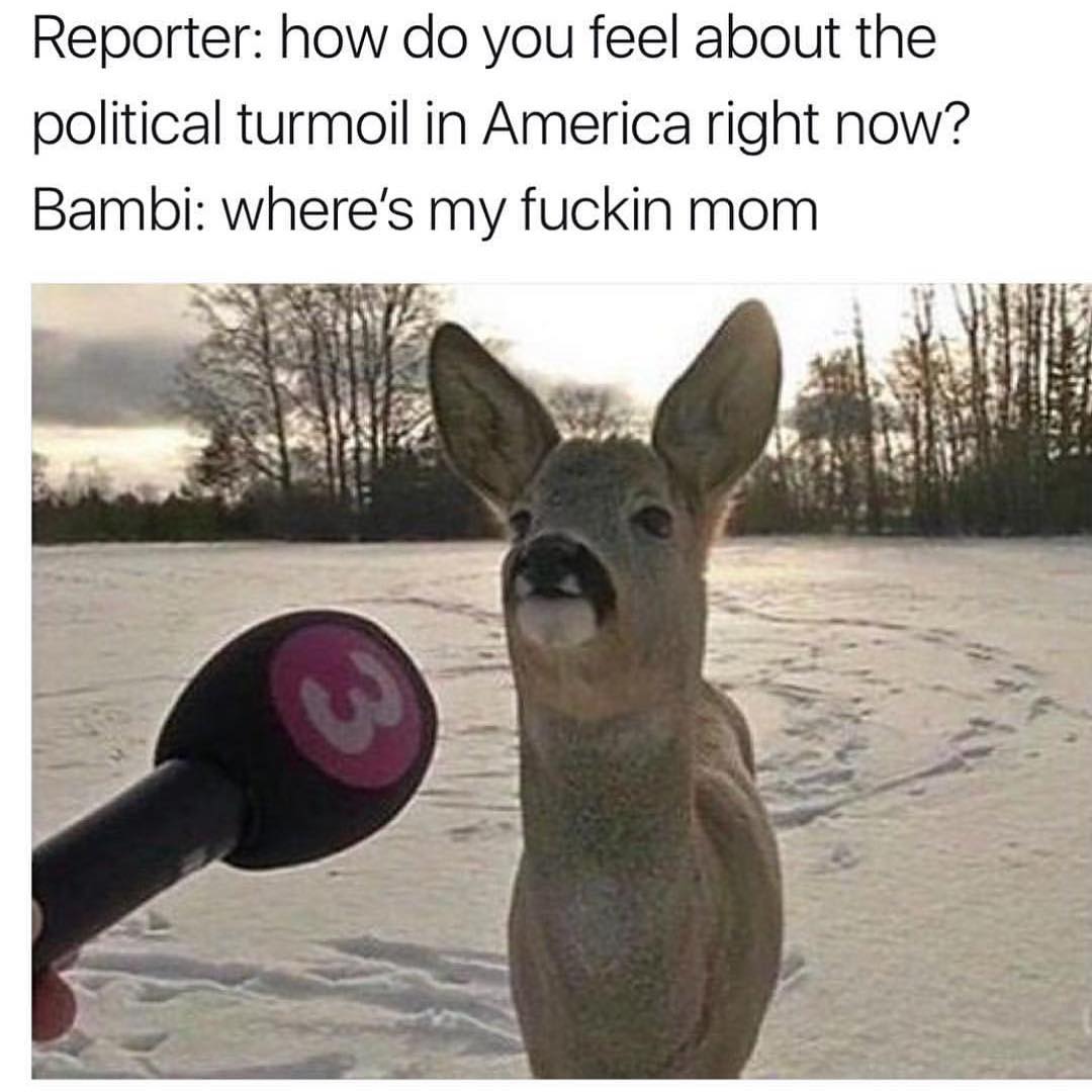 Reporter: how do you feel about the political turmoil in America right now?  Bambi: where's my fuckin mom.
