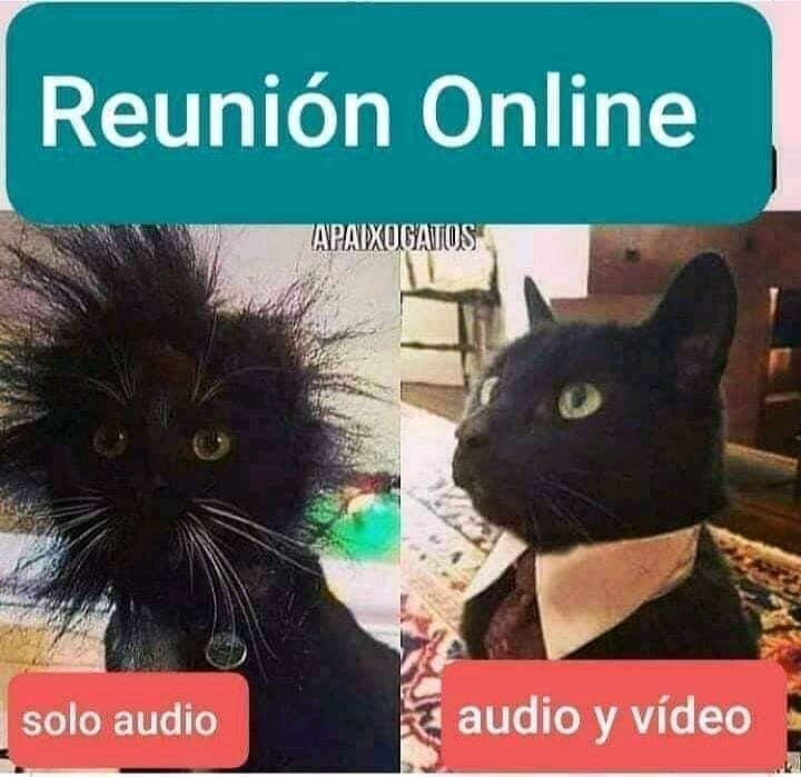 Reunión Online. Solo audio. / Audio y vídeo.