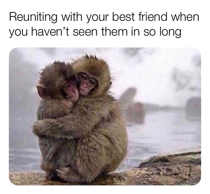 Reuniting with your best friend when you haven't seen them in so long.