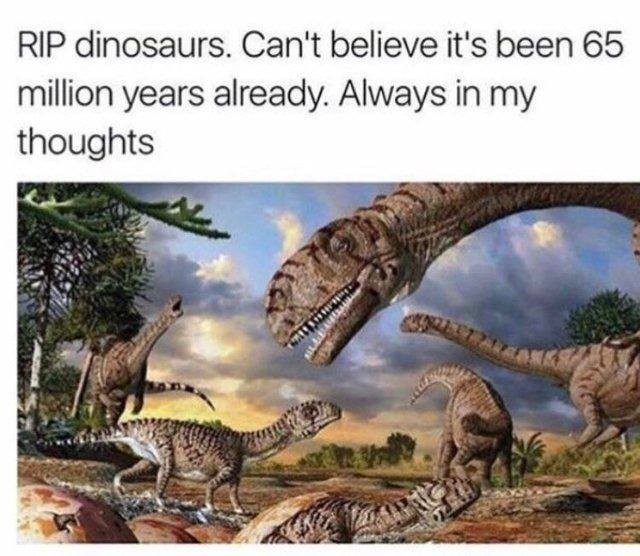 Rip dinosaurs. Can't believe it's been 65 million years already. Always in my thoughts.