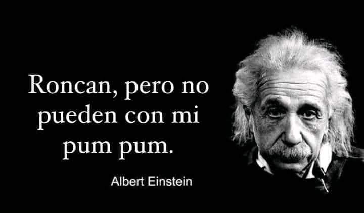"Roncan, pero no pueden con mi pum pum." Albert Einstein.