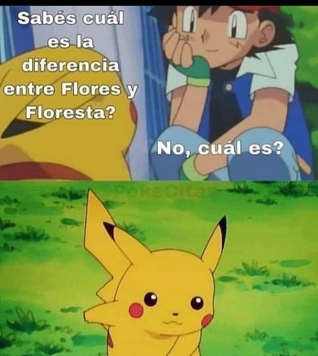 Sabés cuál es la diferencia entre Flores y Floresta? No, cuál es?