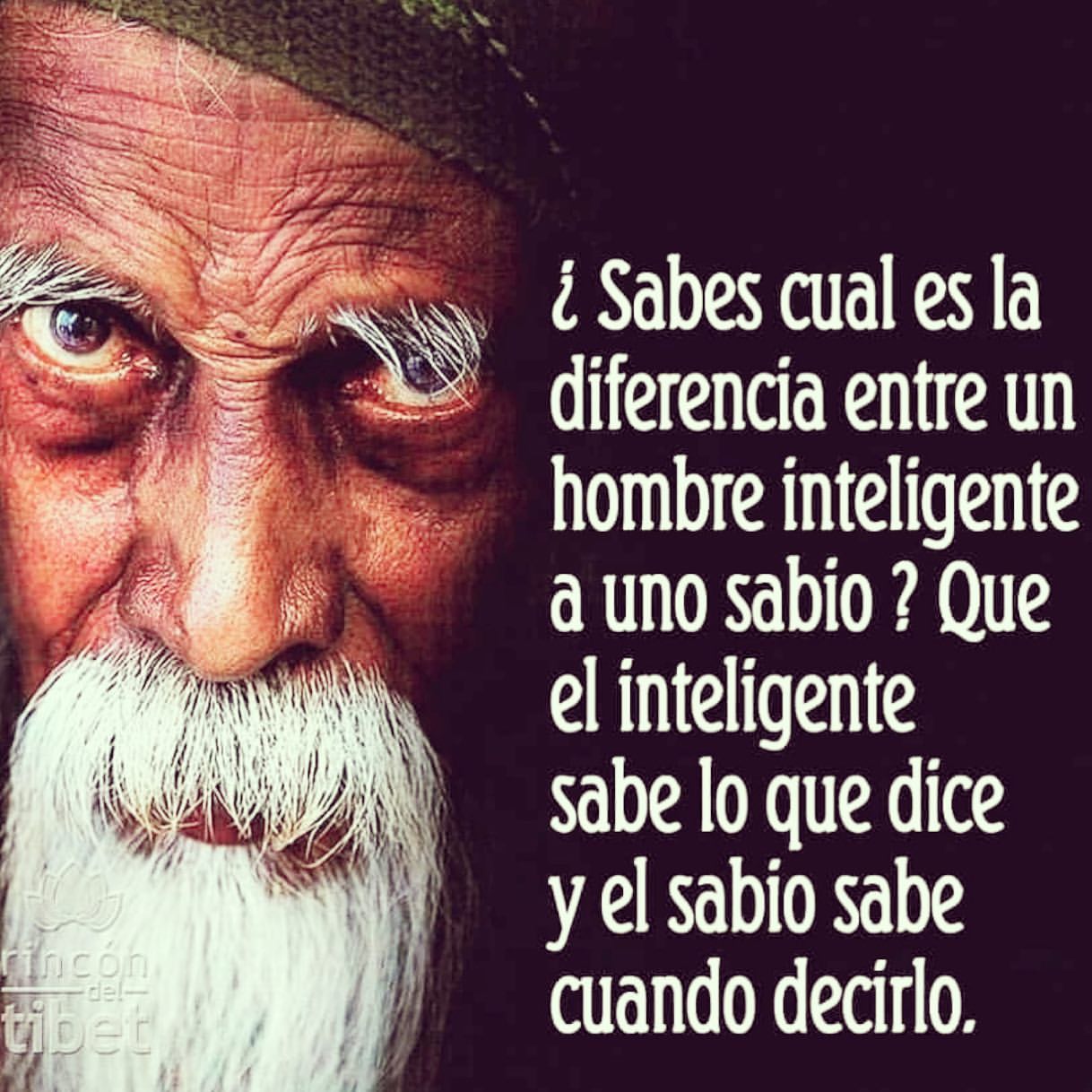 ¿Sabes cual es la diferencia entre un hombre inteligente a uno sabio? Que el inteligente sabe lo que dice y el sabio sabe cuando decirlo.