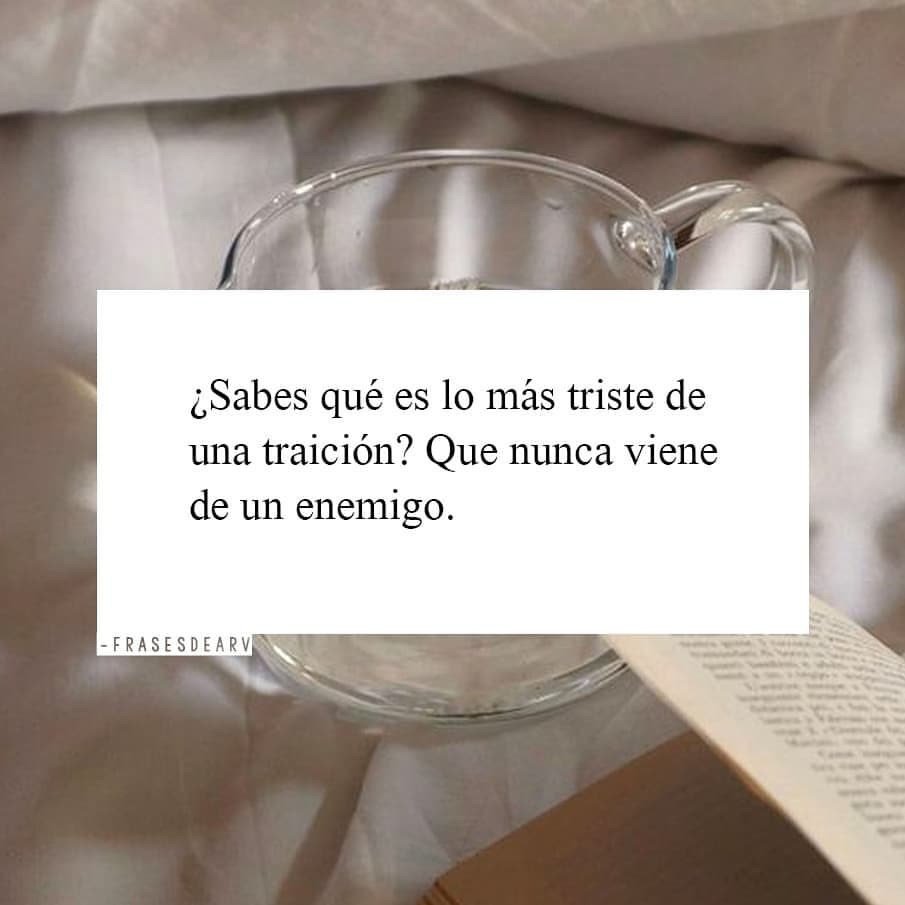 ¿Sabes qué es lo más triste de una traición? Que nunca viene de un enemigo.