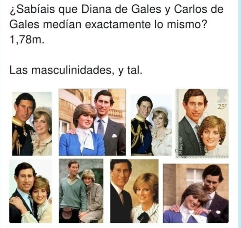 ¿Sabíais que Diana de Gales y Carlos de Gales medían exactamente lo mismo? 1,78m.  Las masculinidades, y tal.