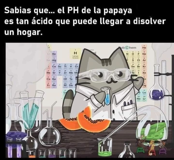 Sabías que... el PH de la papaya es tan ácido que puede llegar a disolver un hogar.