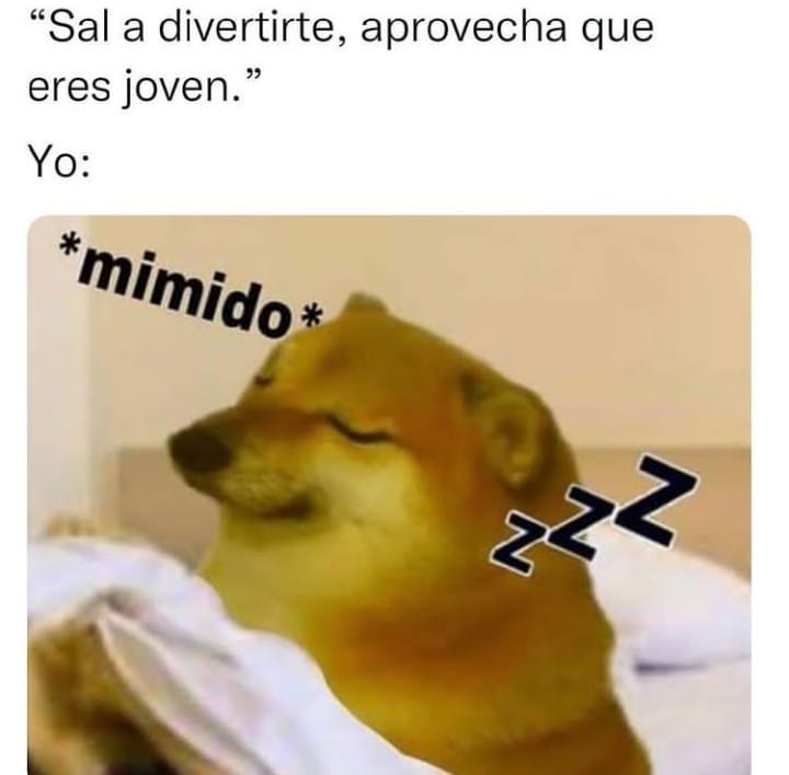 "Sal a divertirte, aprovecha que eres joven. Yo: Mimido zzz.