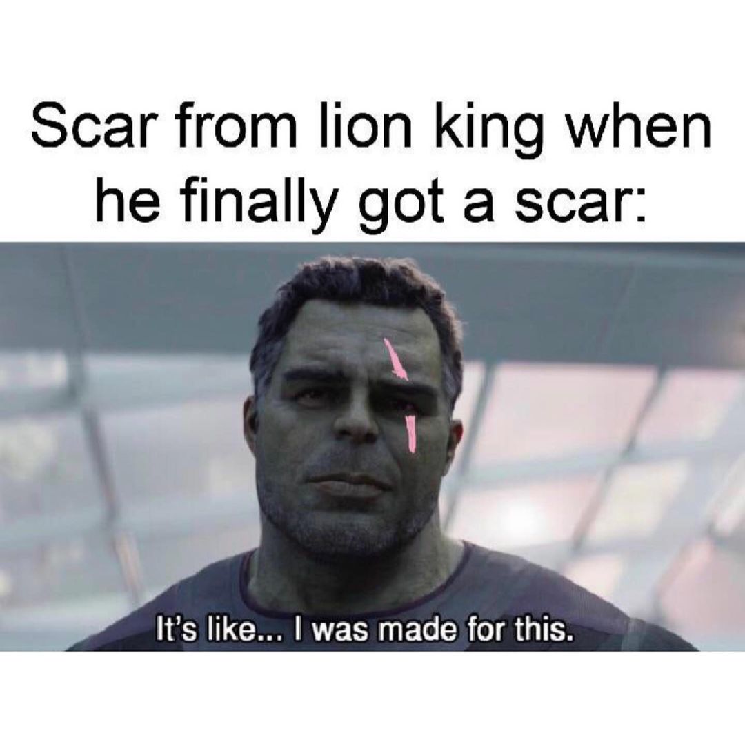 Scar from lion king when he finally got a scar: It's like... I was made for this.