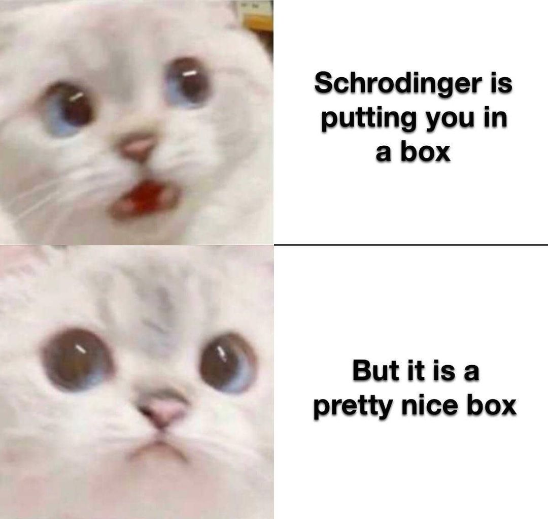 Schrodinger is putting you in a box. But it is a pretty nice box.