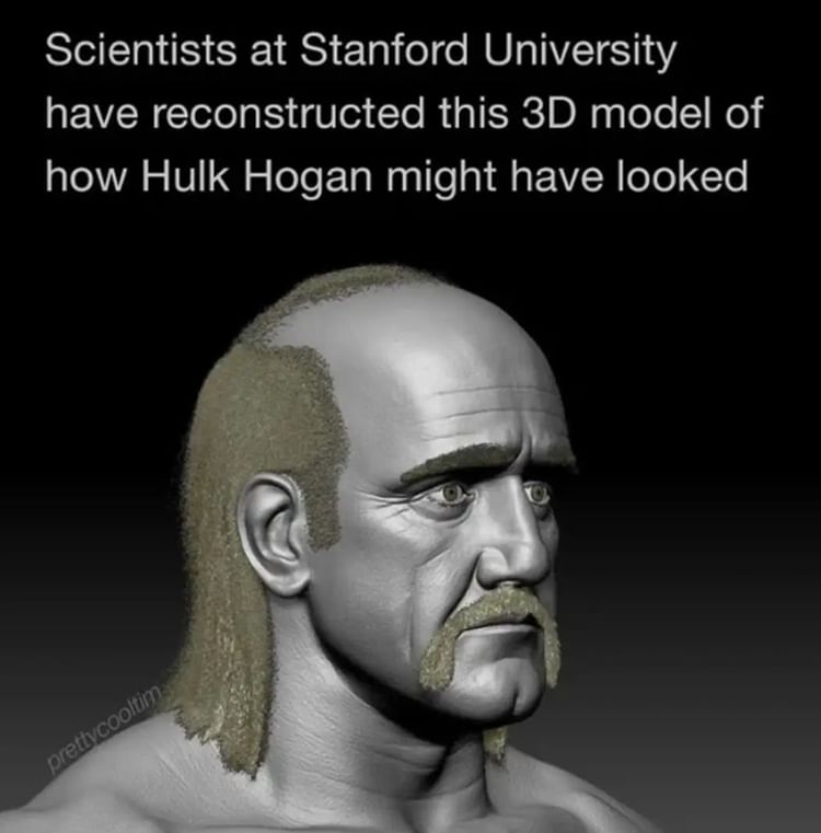Scientists at Stanford University have reconstructed this 3D model of how Hulk Hogan might have looked.