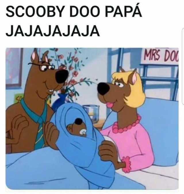 Scooby doo papá. Jajajaja