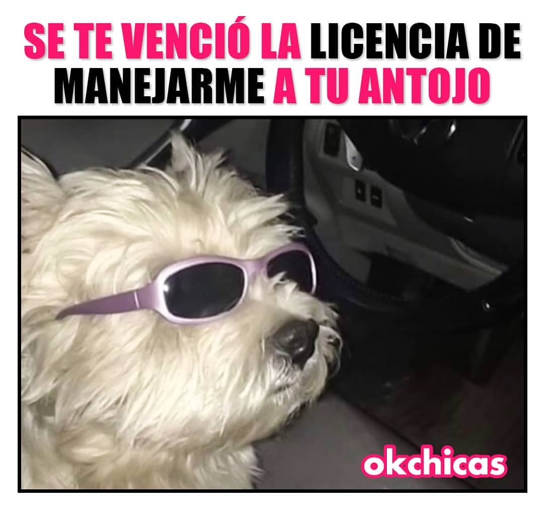 Se te venció la licencia de manejarme a tu antojo.