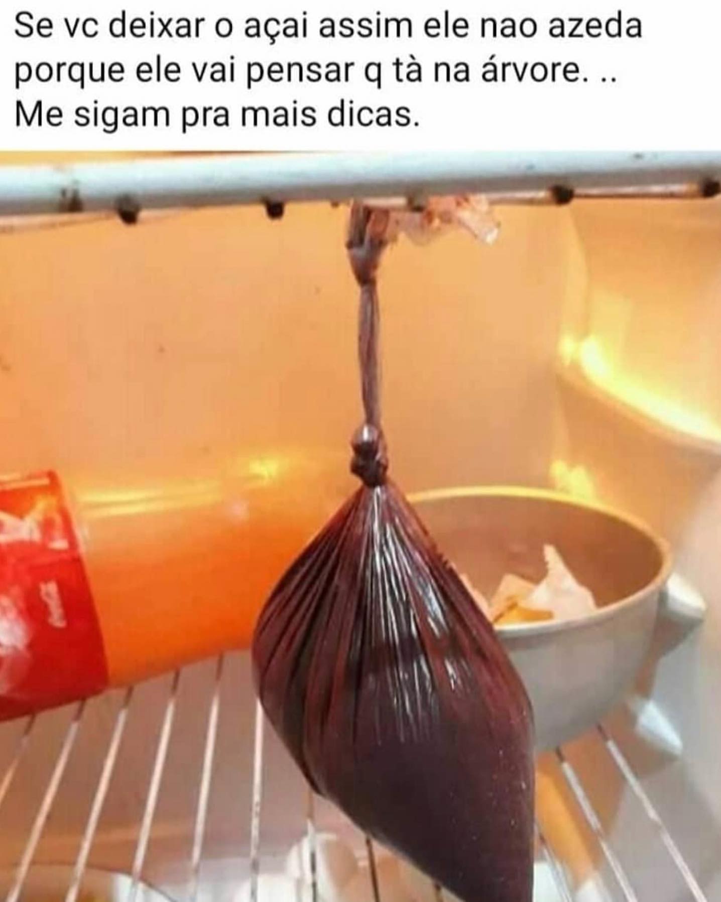 Se vc deixar o açai assim ele nao azeda porque ele vai pensar q tà na árvore... Me sigam pra mais dicas.