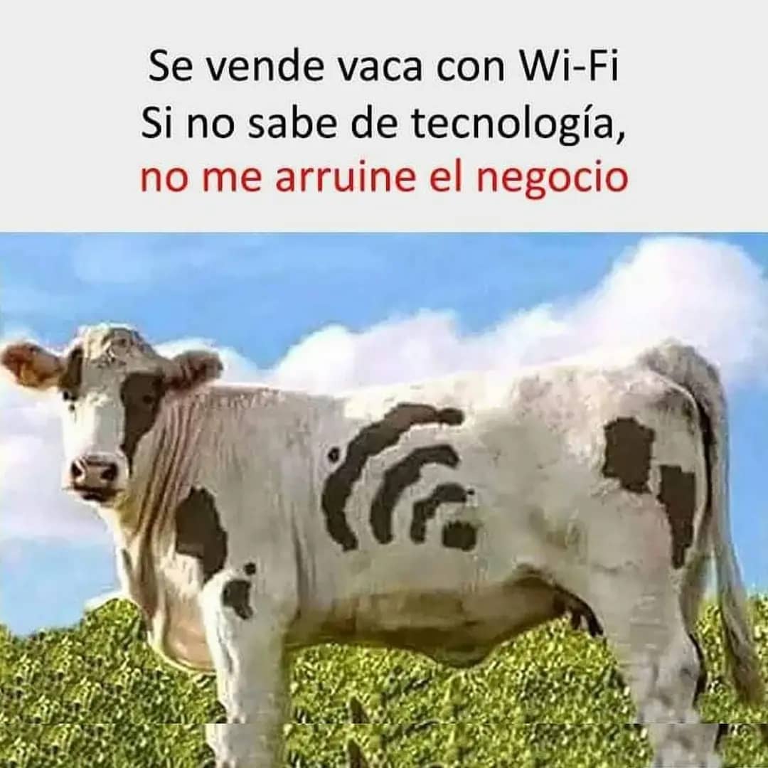 Se vende vaca con Wi-Fi. Si no sabe de tecnología, no me arruine el negocio.