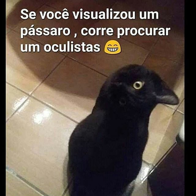 Se você visualizou um pássaro, corre procurar um oculistas.