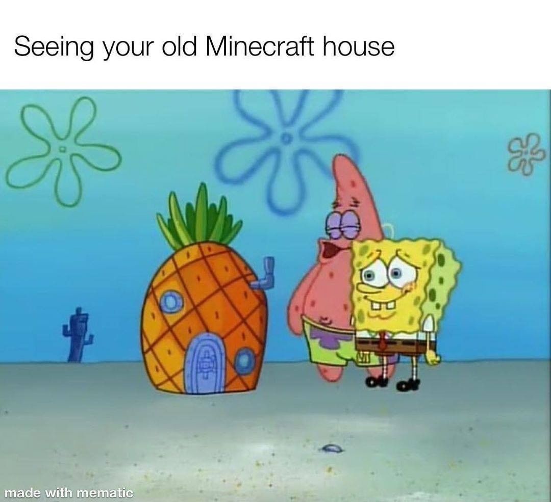 Seeing your old Minecraft house.