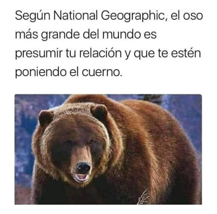 Álbumes 97 foto los cuernos más grandes del mundo alta definición