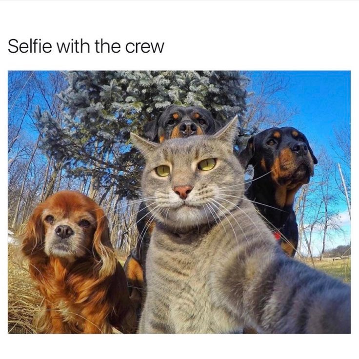 Selfie with the crew.