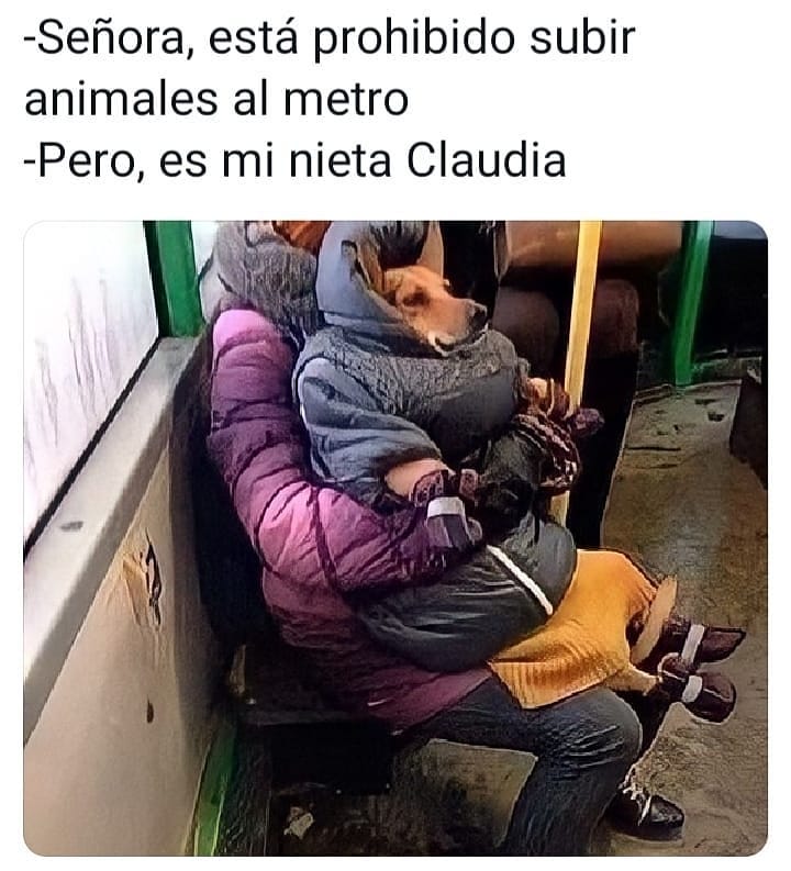 Señora, está prohibido subir animales al metro.  Pero es mi nieta Claudia.