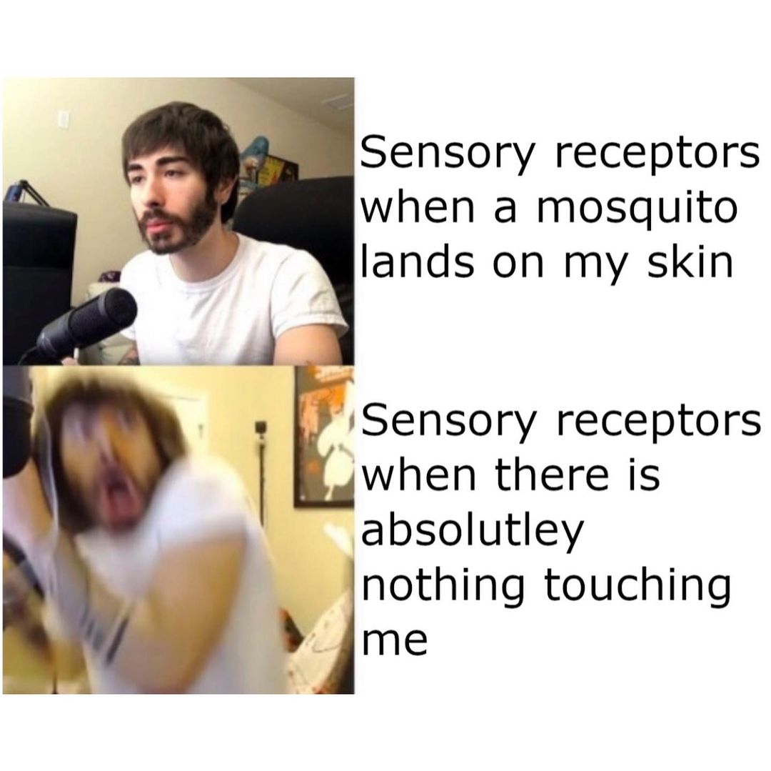 Sensory receptors when a mosquito lands on my skin. Sensory receptors when there is absolutely nothing touching me.