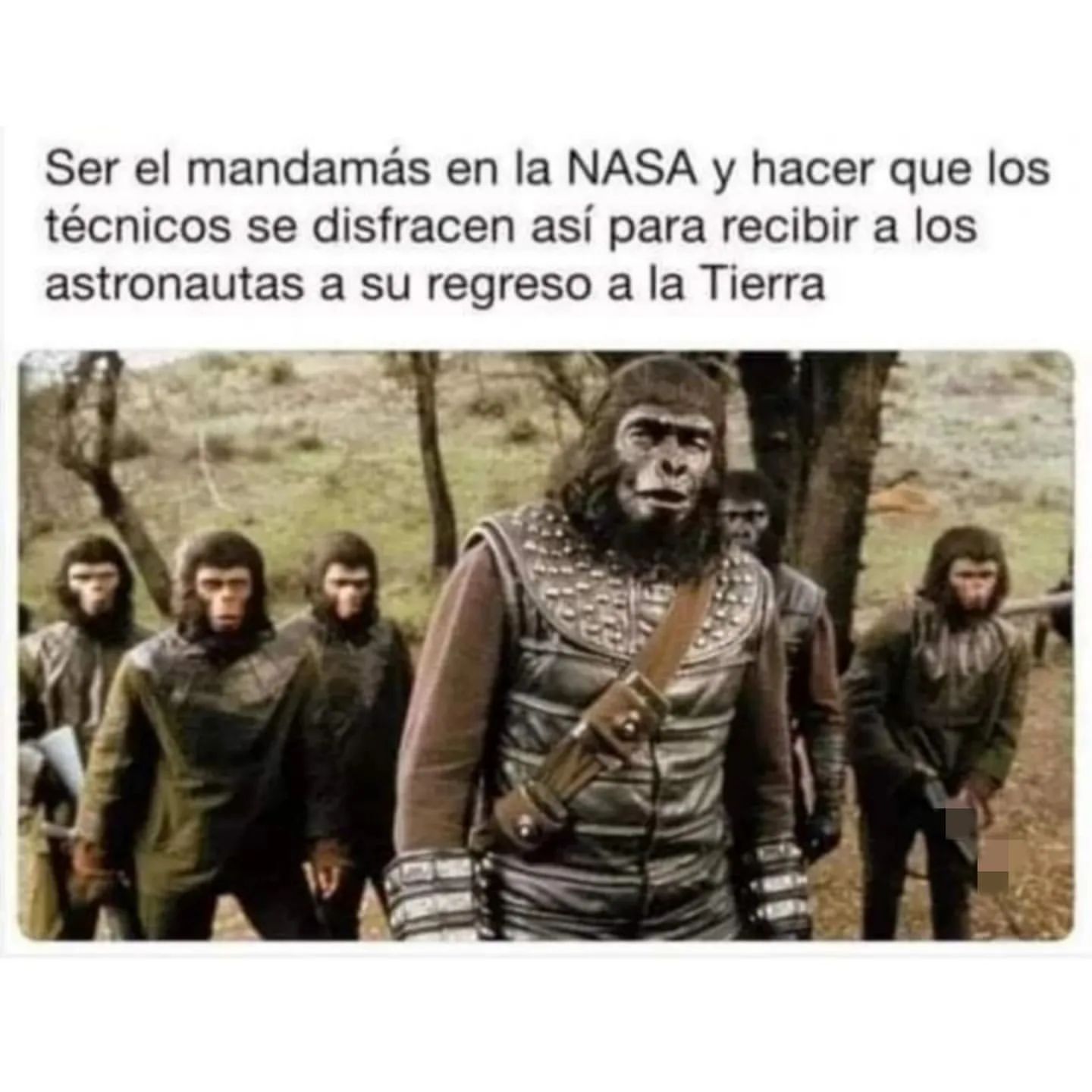 Ser el mandamás en la NASA y hacer que los técnicos se disfracen así para recibir a los astronautas a su regreso a la Tierra.