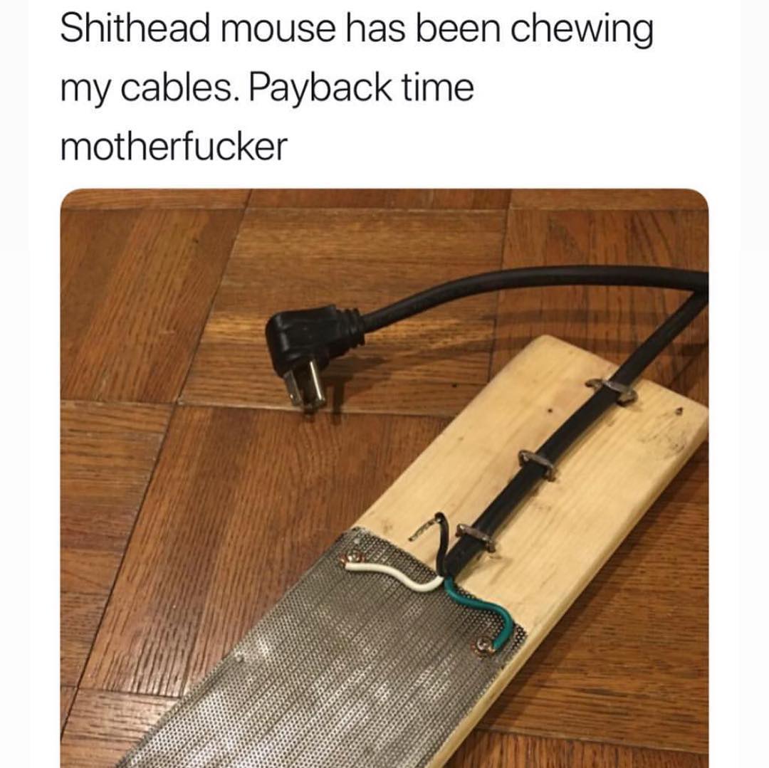 Shithead mouse has been chewing my cables. Payback time motherfucker.