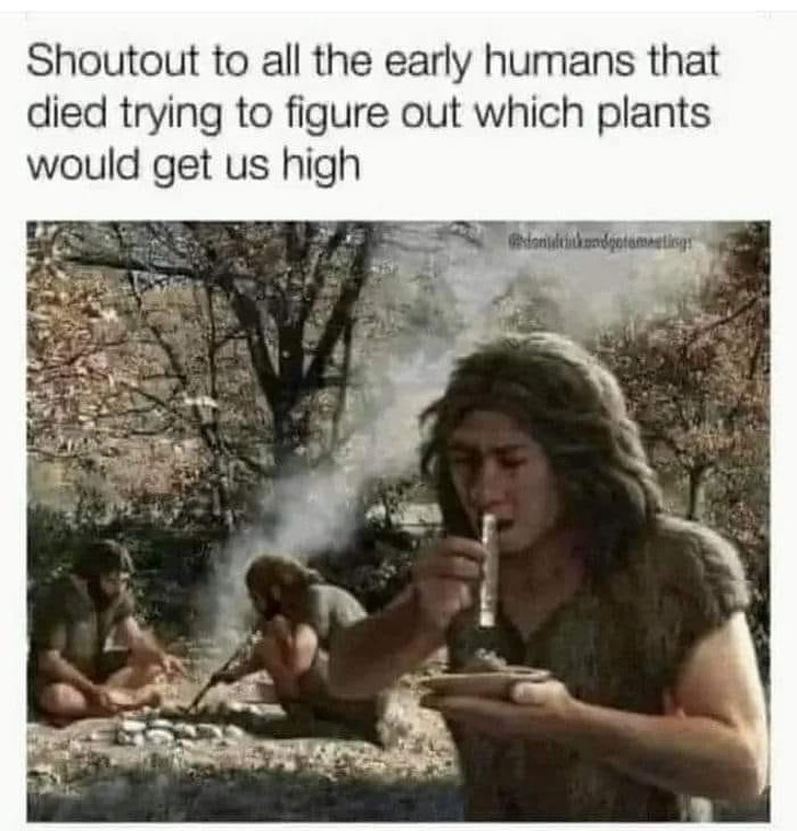 Shoutout to all the early humans that died trying to figure out which plants would get us high.