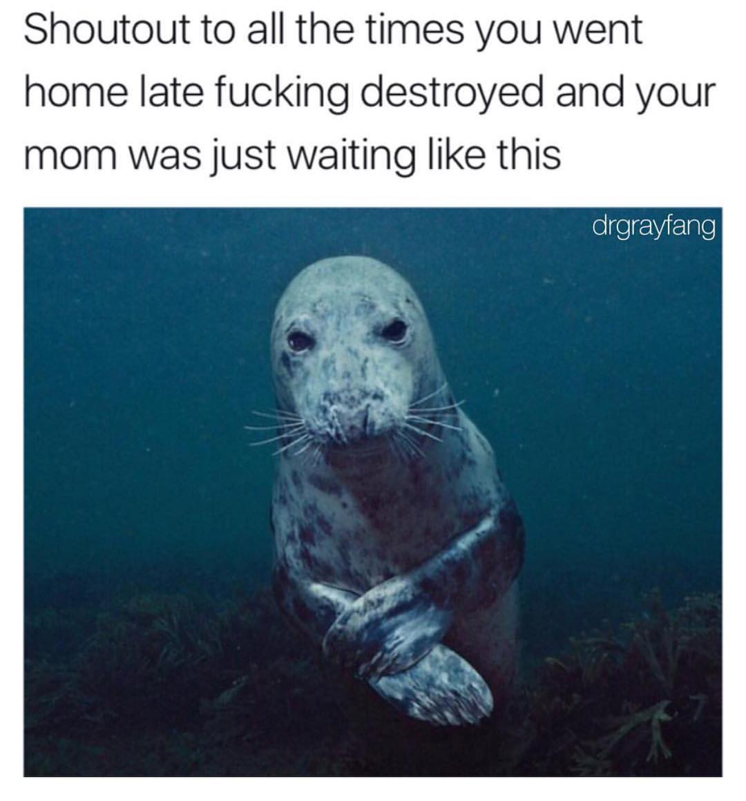 Shoutout To All The Times You Went Home Late Fucking Destroyed And Your Mom Was Just Waiting