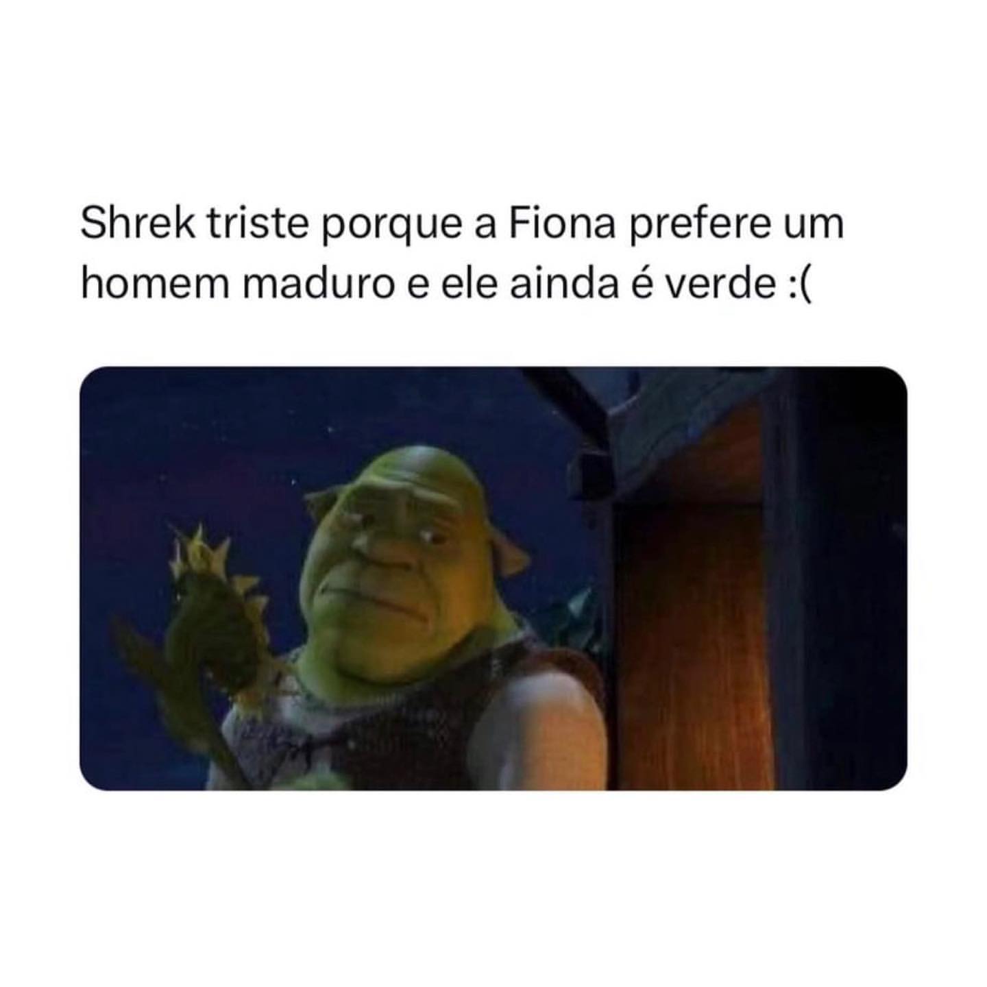 Shrek triste porque a Fiona prefere um homem maduro e ele ainda é verde :(