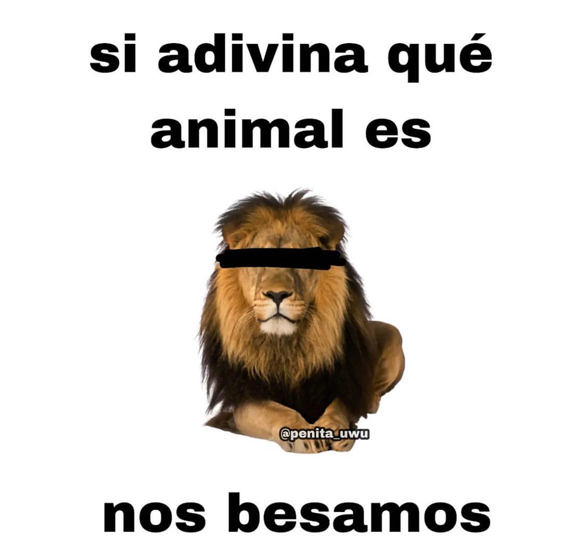 Si adivina qué animal es nos besamos.