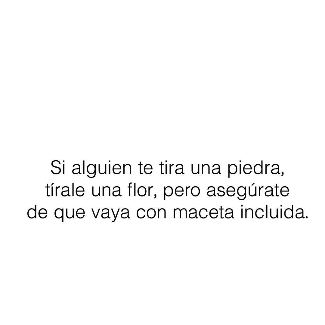 Si Alguien Te Tira Una Piedra Tírale Una Flor Pero Asegúrate De Que Vaya Con Maceta Incluida 