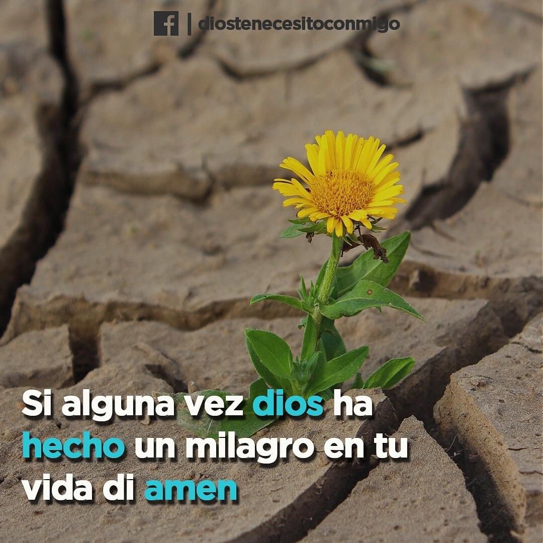 Si alguna vez Dios ha hecho un milagro en tu vida di amén.