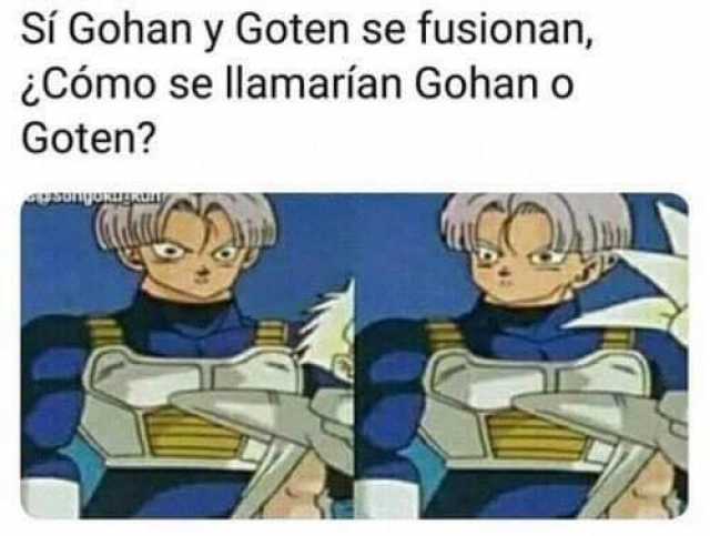 Sí Gohan y Goten se fusionan, ¿Cómo se llamarían Gohan o Goten?