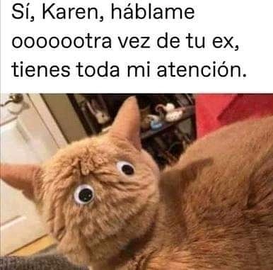 Sí, Karen, háblame ooooootra vez de tu ex, tienes toda mi atención.