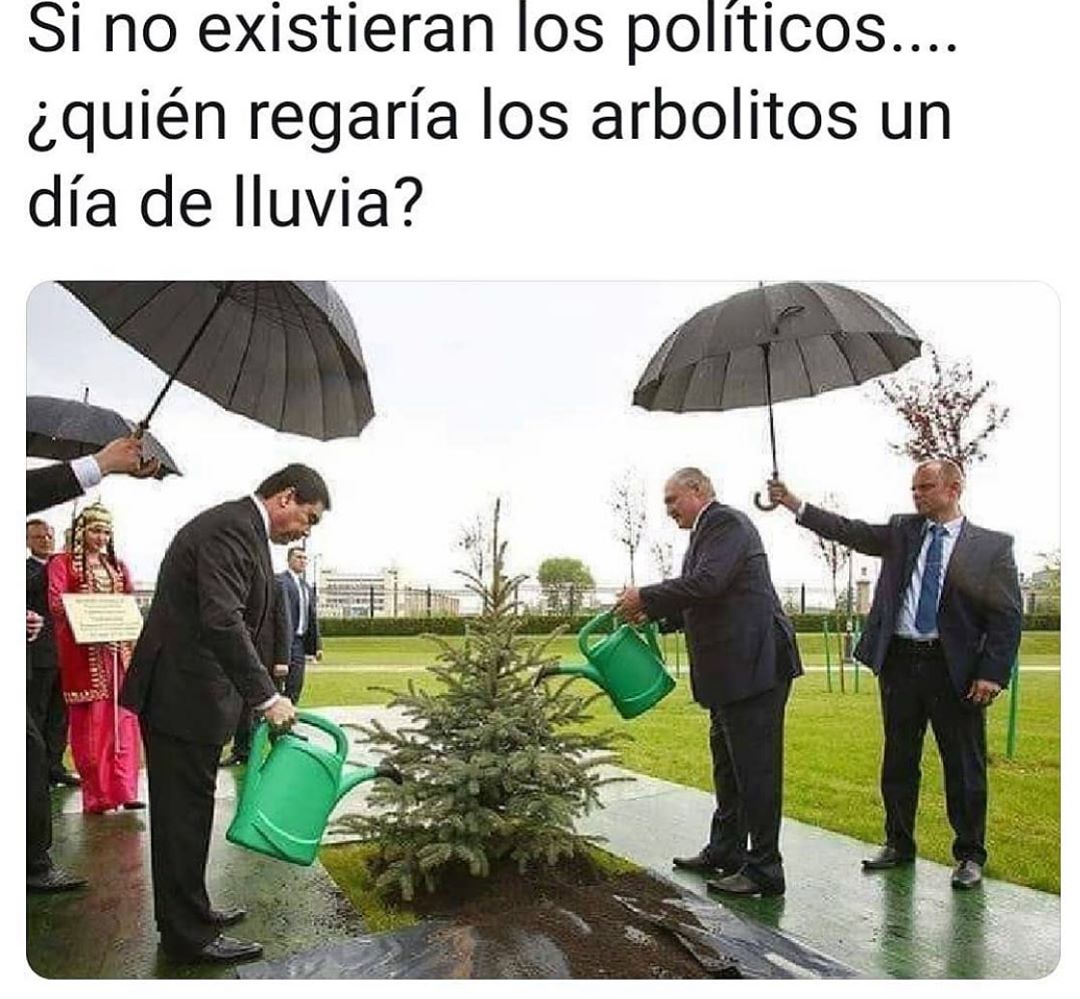 Si no existieran los políticos... ¿quién regaría los arbolitos un día de lluvia?